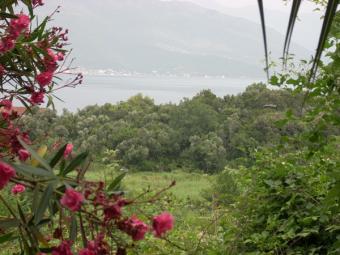 one story house with a sea view Budva